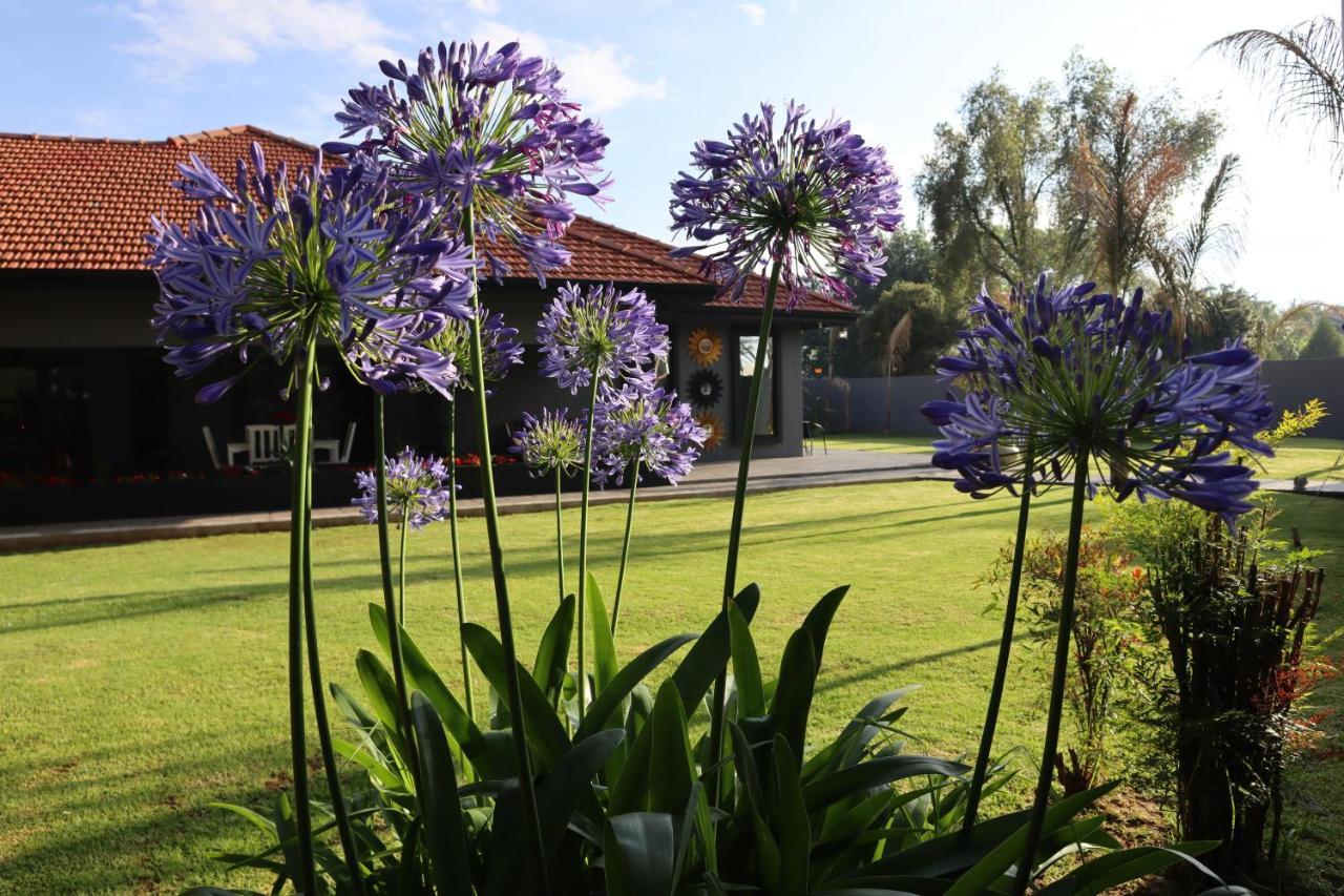 Villa Grande Luxury Accommodation Welkom Exteriér fotografie